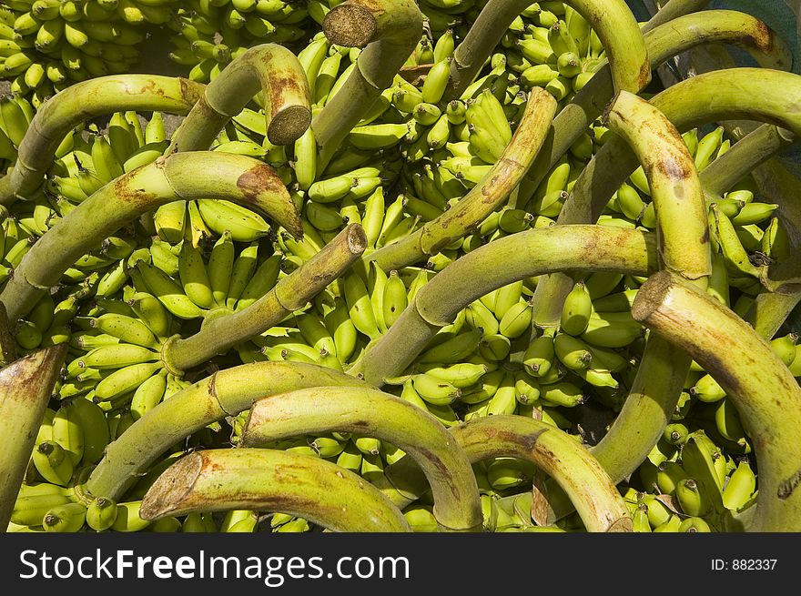 Newly harvested bananas in Tagaytay City, philiippines