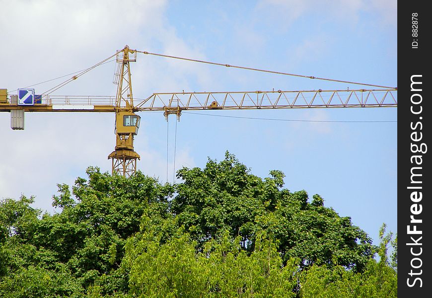 Crane in a forest