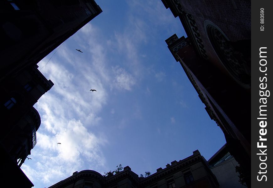 A piece of sky with birds symbolizing freedom. A piece of sky with birds symbolizing freedom