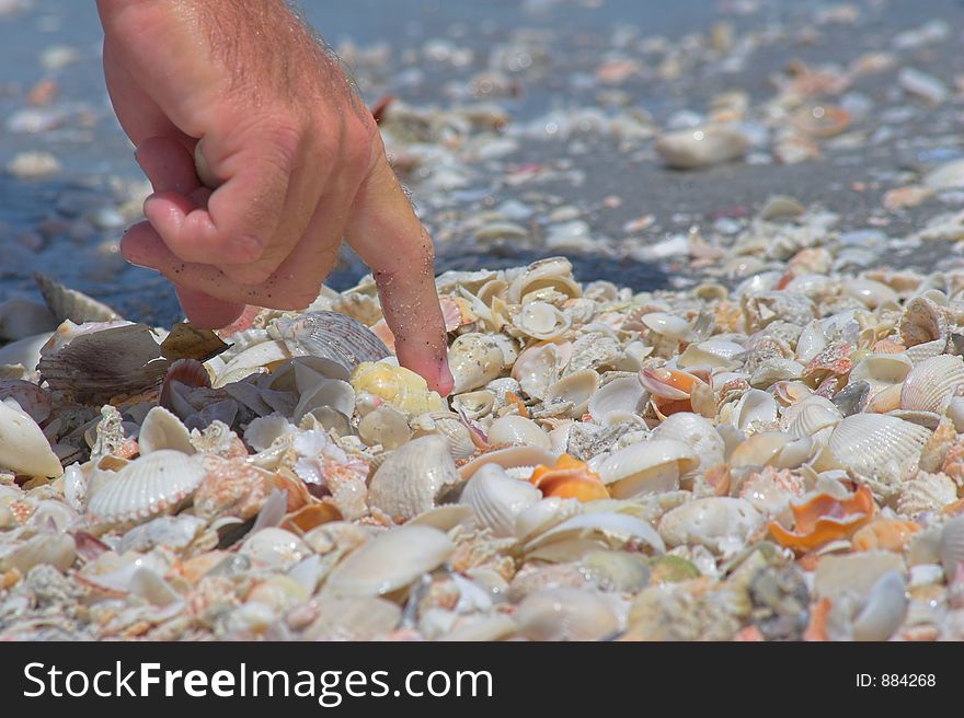 Enjoying day at ocean side in florida looking for special shells. Enjoying day at ocean side in florida looking for special shells