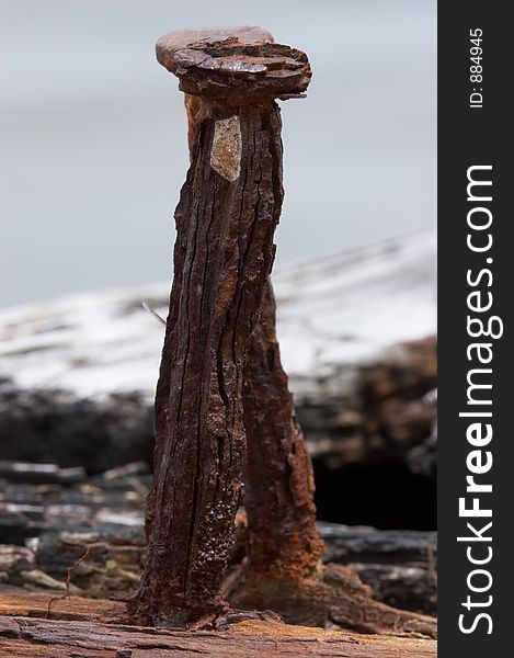 Close up of a rusty nail and on a plank. Front in focus as nail behind it is out of focus. Close up of a rusty nail and on a plank. Front in focus as nail behind it is out of focus.