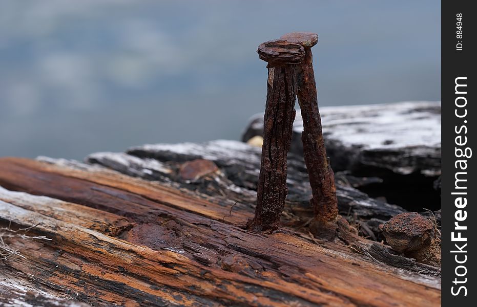 Close up of a rusty nail and on a stained plank. Front in focus as nail behind it is out of focus. Close up of a rusty nail and on a stained plank. Front in focus as nail behind it is out of focus.