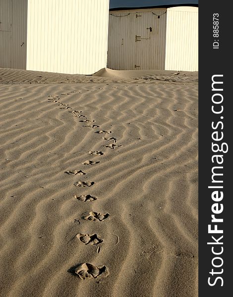 Summer in denmark:beach houses, birds foot steps in the sand. Summer in denmark:beach houses, birds foot steps in the sand