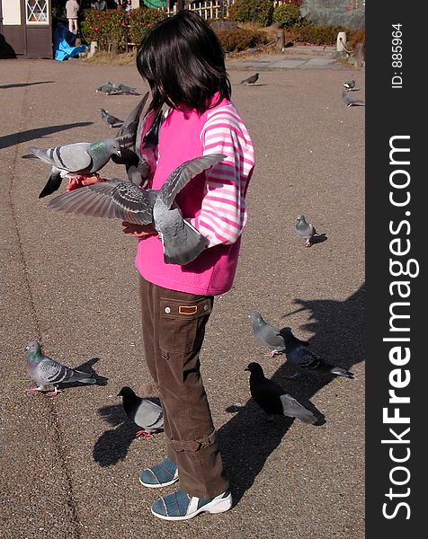 Girl feeding pigeons in a park...useful image for environmental designs.