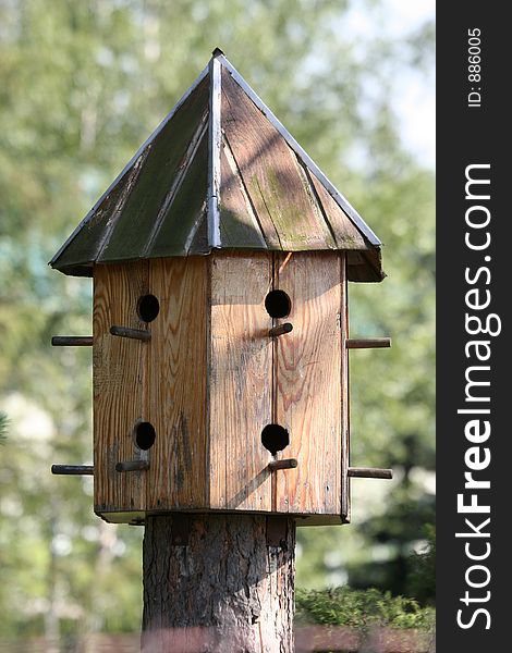 Birds house and feeder placed outside in garden area on a tree. Birds house and feeder placed outside in garden area on a tree