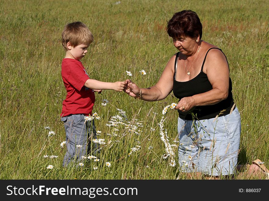 Grandmother and grandson picking flowers. Grandmother and grandson picking flowers