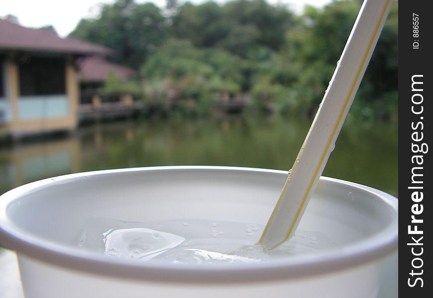 Cup And Straw At Resort