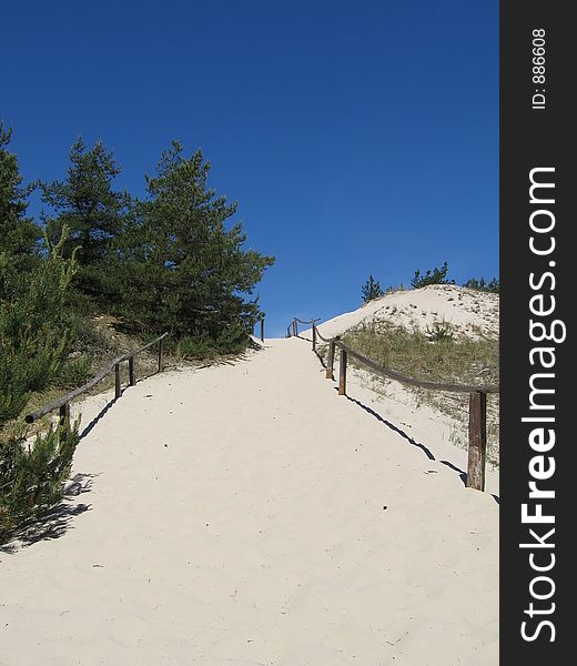 Path to a beach. Path to a beach