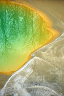 A Yellow Pond Stock Photography