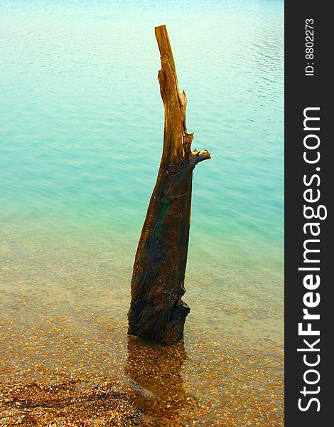 Self created arrangement with weather-beaten wood on a lake shore. Self created arrangement with weather-beaten wood on a lake shore