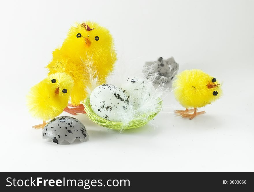 Easter chickens family on white background