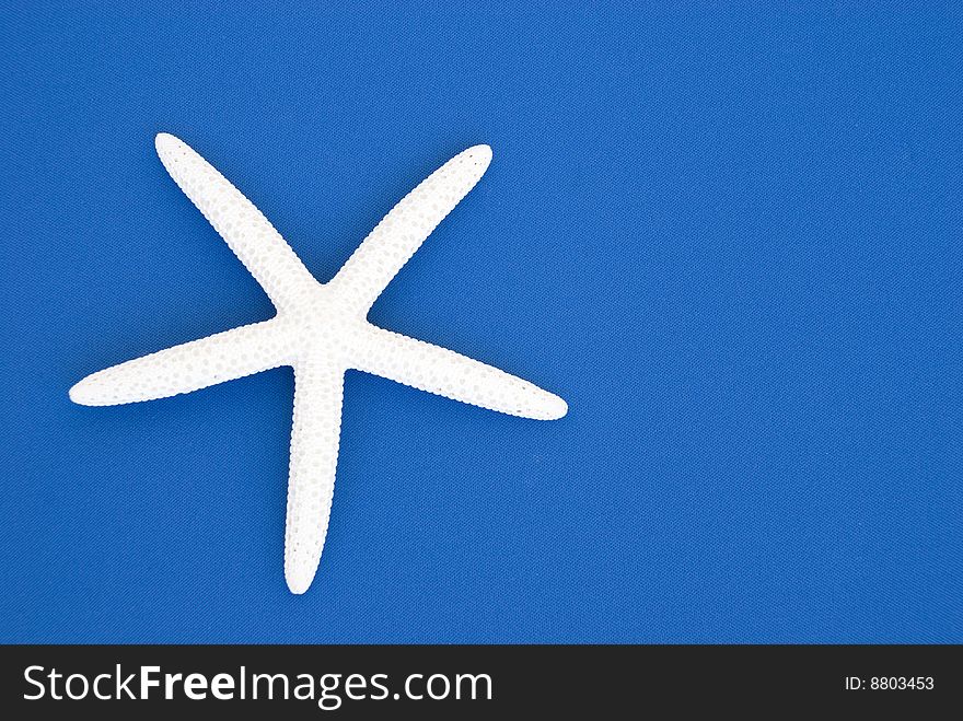 A white starfish isolated on a blue background with copy space. A white starfish isolated on a blue background with copy space