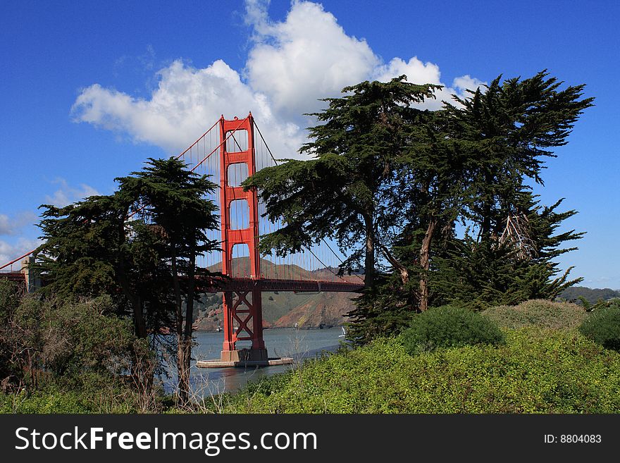 USA, San Francisco- Golden Gate Bridge through trees