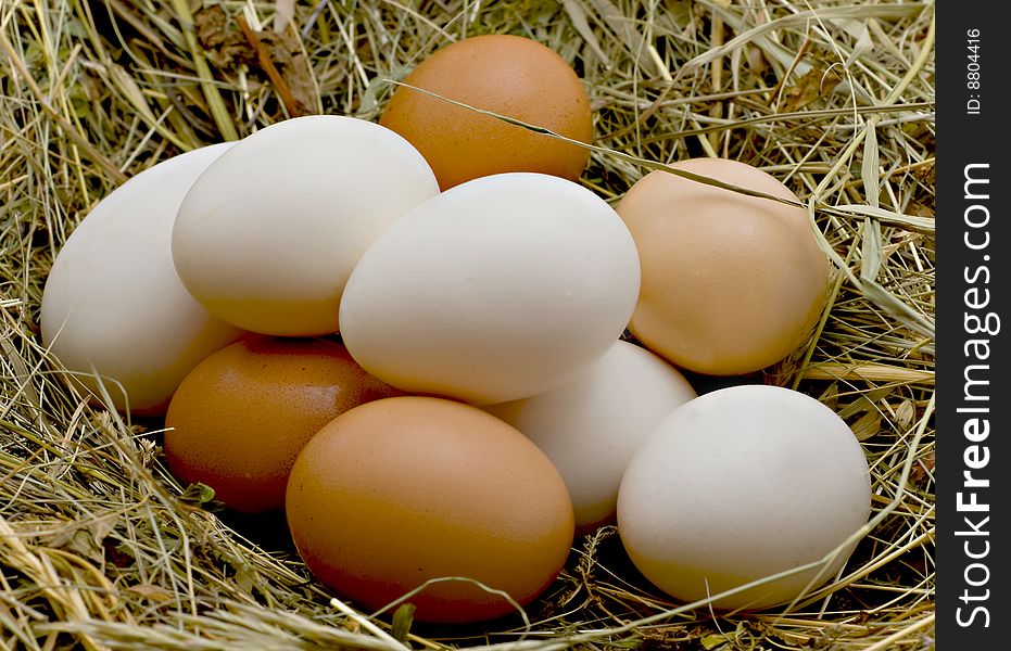 White and brown eggs lie on a dry grass