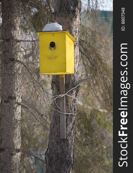 Yellow birdhouse on the tree