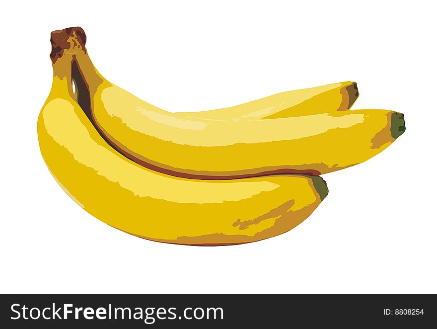 A branch of bananas against white background