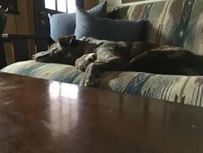 Free &x22;2017 Is So Exciting!&x22; Royalty Free Stock Image - 88035026