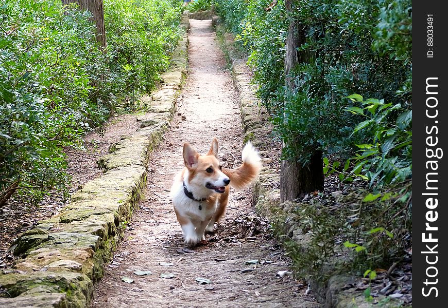 Visited Parque GuÃ«ll in Barcelona with a friend visiting from France and my dog Sun.