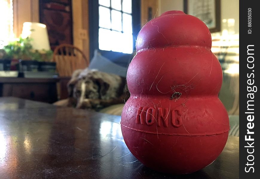 A Sleeping King and His Hairy Kong