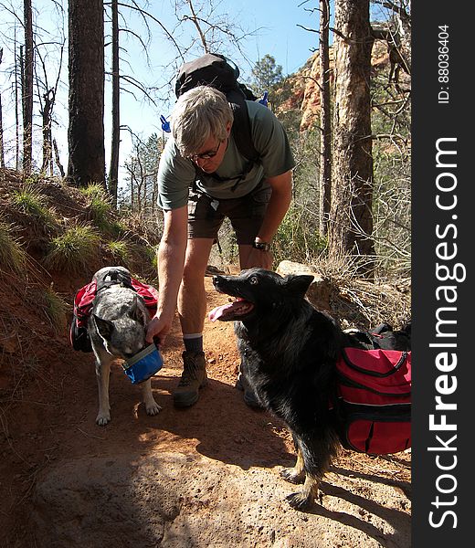 Vultees Arch Trail