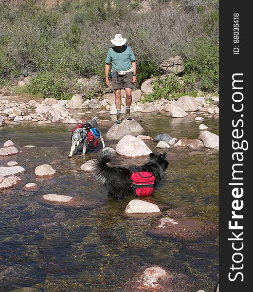 Crossing the creek. Crossing the creek