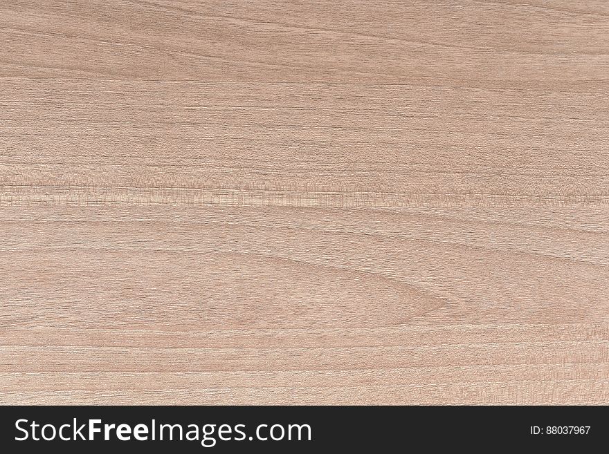 A wood surface background texture. A wood surface background texture.