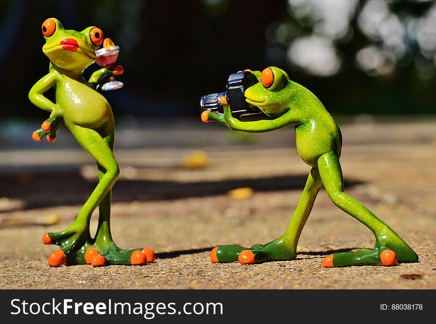 A pair of frog figures, a model and a photographer. A pair of frog figures, a model and a photographer.