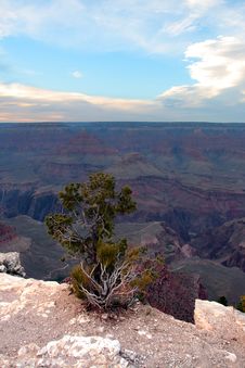 Grand Canyon National Park, USA Royalty Free Stock Images