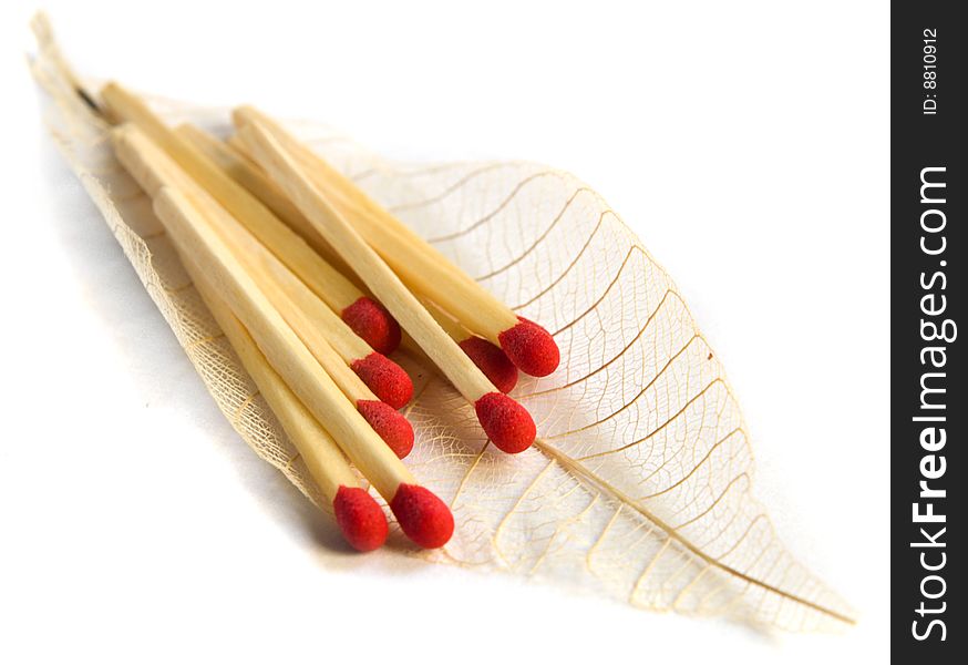 Close up of matches on a feather
