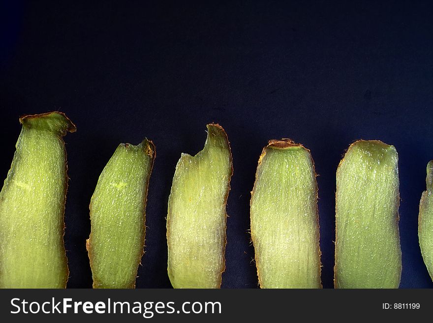 Abstract close shots of Kiwifruit. Abstract close shots of Kiwifruit