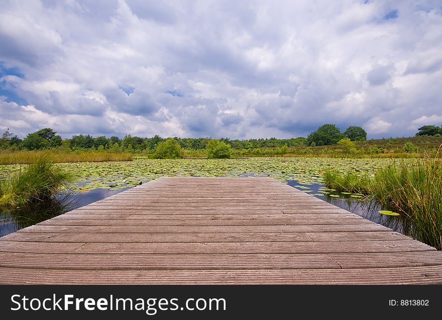 Wooden pier on a lily pond with very dark rain clouds in the sky