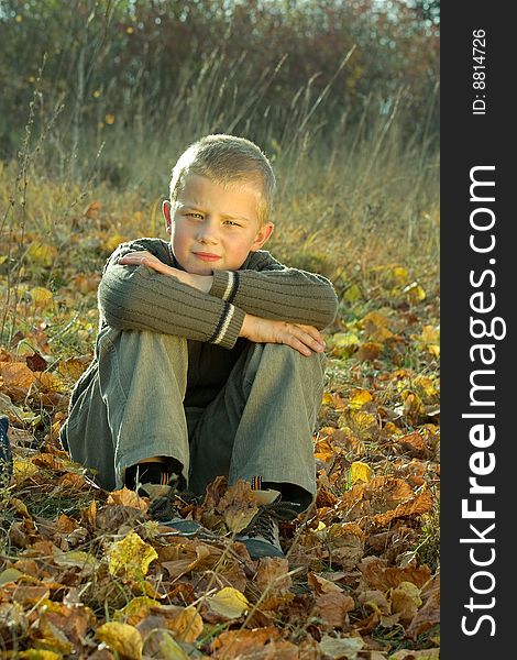 Sitting little boy in autumn