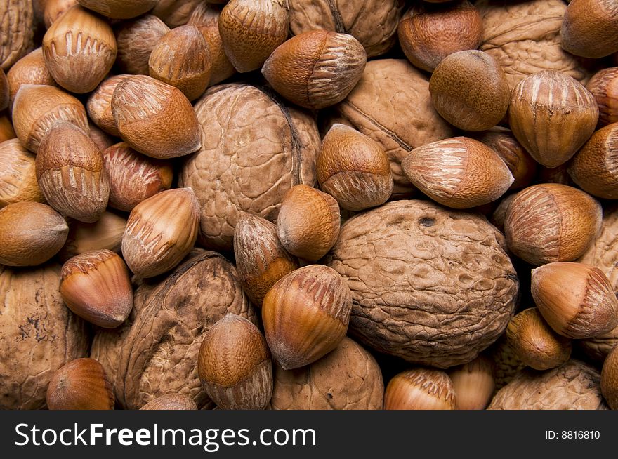 Background from walnuts and filberts closeup