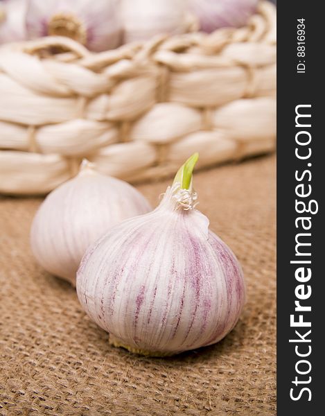 Garlic fruits on a rough sacking