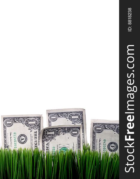 Vertical view of american dollar bills stashed in green grass