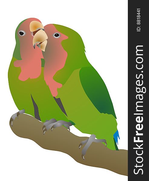 Pink-checked Parrots Agapornis Roseicollis