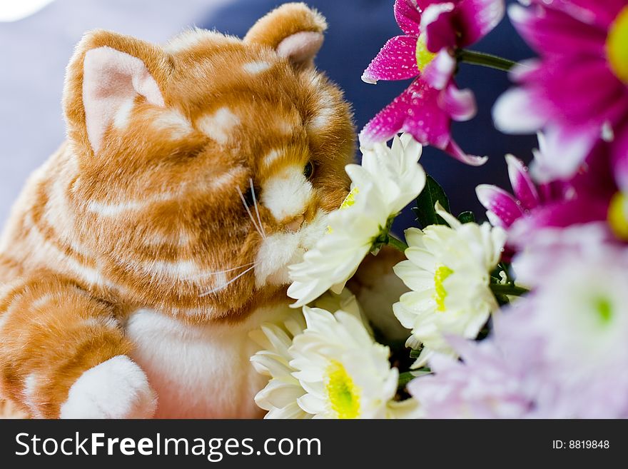 Toy-cat sniffing beautiful flowers. Toy-cat sniffing beautiful flowers