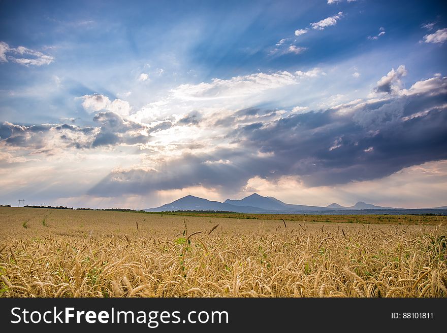 Ride Field Under Blue Sky During Daytime