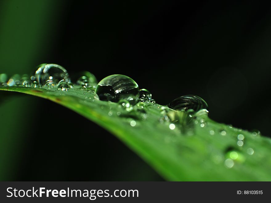 Macro view of water drops on green leaf.