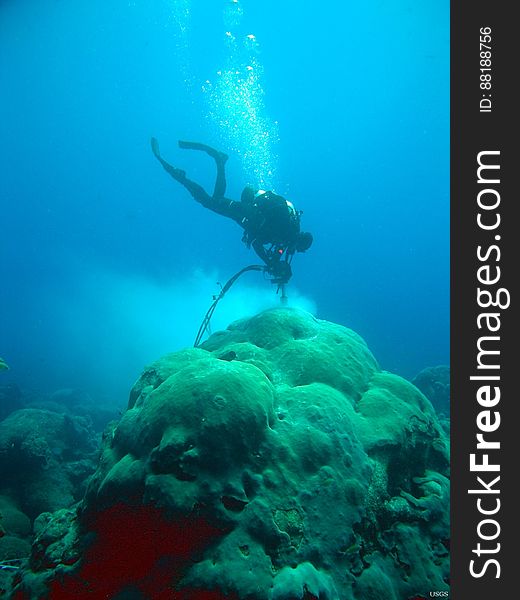 Not all USGS science happens on the land...we also like to go for a swim every now and then! Here we see one of scientists, Christopher Reich, as he core drills coral to collect cores for paleoclimate analyses off the coast of Florida. Credit: Don Hickey, USGS. Not all USGS science happens on the land...we also like to go for a swim every now and then! Here we see one of scientists, Christopher Reich, as he core drills coral to collect cores for paleoclimate analyses off the coast of Florida. Credit: Don Hickey, USGS.