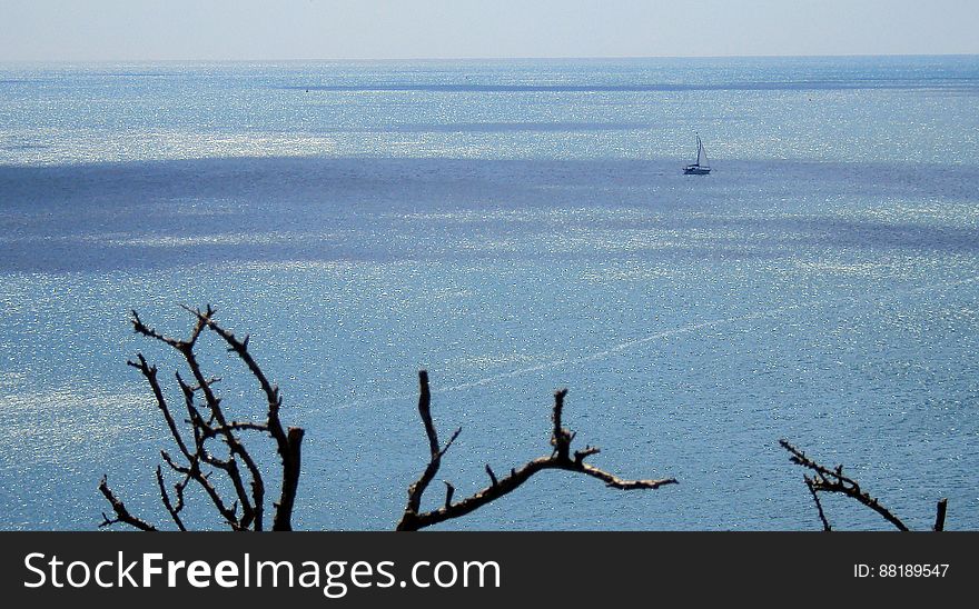 Coastal Walk