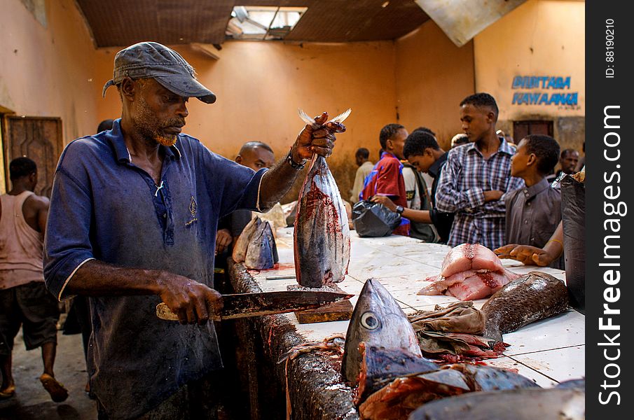 Traders cut and fillet fish inside Mogadishu&#x27;s fish market in the Xamar Weyne district of the Somali capital, 16 March, 2013. Every morning Mogadishu&#x27;s fisherman bring their catch ashore upon which it is quickly unloaded and transported to Xamar Weyne&#x27;s lively and chaotic fish market where it is sold for consumption on the local market and increasingly, for export to other countries. Over the last two decades, instability on land has greatly restricted the development of the country&#x27;s fishing industry, but now that Somalia is enjoying the longest period of sustained peace in over 20 years, there is large-scale potential and opportunity to harvest the bountiful waters off the Horn of Africa nation, which boasts the longest coastline in Africa. AU-UN IST PHOTO / STUART PRICE. Traders cut and fillet fish inside Mogadishu&#x27;s fish market in the Xamar Weyne district of the Somali capital, 16 March, 2013. Every morning Mogadishu&#x27;s fisherman bring their catch ashore upon which it is quickly unloaded and transported to Xamar Weyne&#x27;s lively and chaotic fish market where it is sold for consumption on the local market and increasingly, for export to other countries. Over the last two decades, instability on land has greatly restricted the development of the country&#x27;s fishing industry, but now that Somalia is enjoying the longest period of sustained peace in over 20 years, there is large-scale potential and opportunity to harvest the bountiful waters off the Horn of Africa nation, which boasts the longest coastline in Africa. AU-UN IST PHOTO / STUART PRICE.