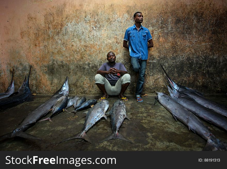 Traders wait to sell their fish inside Mogadishu&#x27;s fish market in Xamar Weyne district of the Somali capital, 16 March, 2013. Every morning Mogadishu&#x27;s fisherman bring their catch ashore upon which it is quickly unloaded and transported to Xamar Weyne&#x27;s lively and chaotic fish market where it is sold for consumption on the local market and increasingly, for export to other countries. Over the last two decades, instability on land has greatly restricted the development of the country&#x27;s fishing industry, but now that Somalia is enjoying the longest period of sustained peace in over 20 years, there is large-scale potential and opportunity to harvest the bountiful waters off the Horn of Africa nation, which boasts the longest coastline in Africa. AU-UN IST PHOTO / STUART PRICE. Traders wait to sell their fish inside Mogadishu&#x27;s fish market in Xamar Weyne district of the Somali capital, 16 March, 2013. Every morning Mogadishu&#x27;s fisherman bring their catch ashore upon which it is quickly unloaded and transported to Xamar Weyne&#x27;s lively and chaotic fish market where it is sold for consumption on the local market and increasingly, for export to other countries. Over the last two decades, instability on land has greatly restricted the development of the country&#x27;s fishing industry, but now that Somalia is enjoying the longest period of sustained peace in over 20 years, there is large-scale potential and opportunity to harvest the bountiful waters off the Horn of Africa nation, which boasts the longest coastline in Africa. AU-UN IST PHOTO / STUART PRICE.