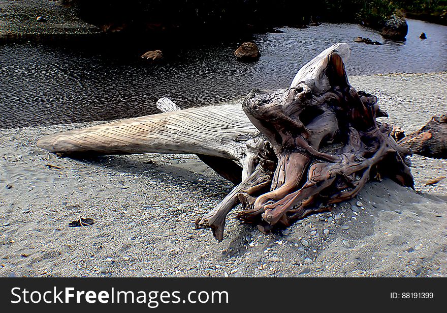 West Coast beaches of New Zealand &#x28;28&#x29;