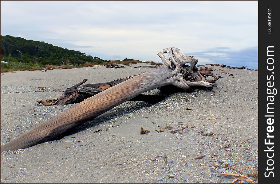 West Coast beaches of New Zealand &#x28;33&#x29;