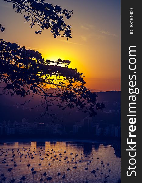 A view of a bay with sailboats at sunset. A view of a bay with sailboats at sunset.