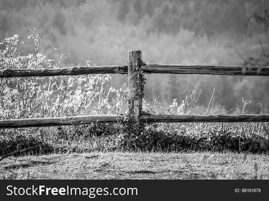 A black and white photo of an old wooden fence. A black and white photo of an old wooden fence.