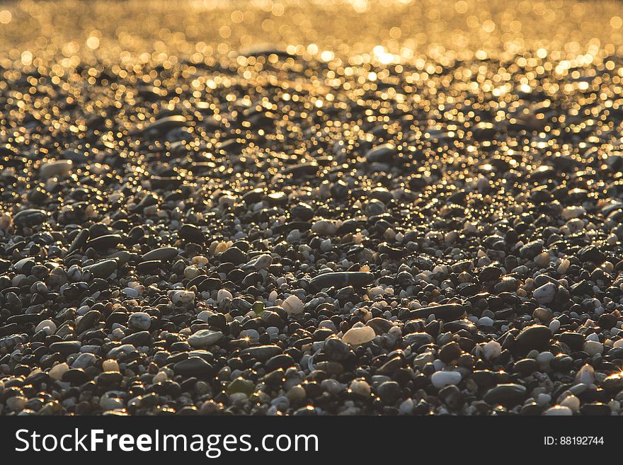 Pebble Stone On Ground