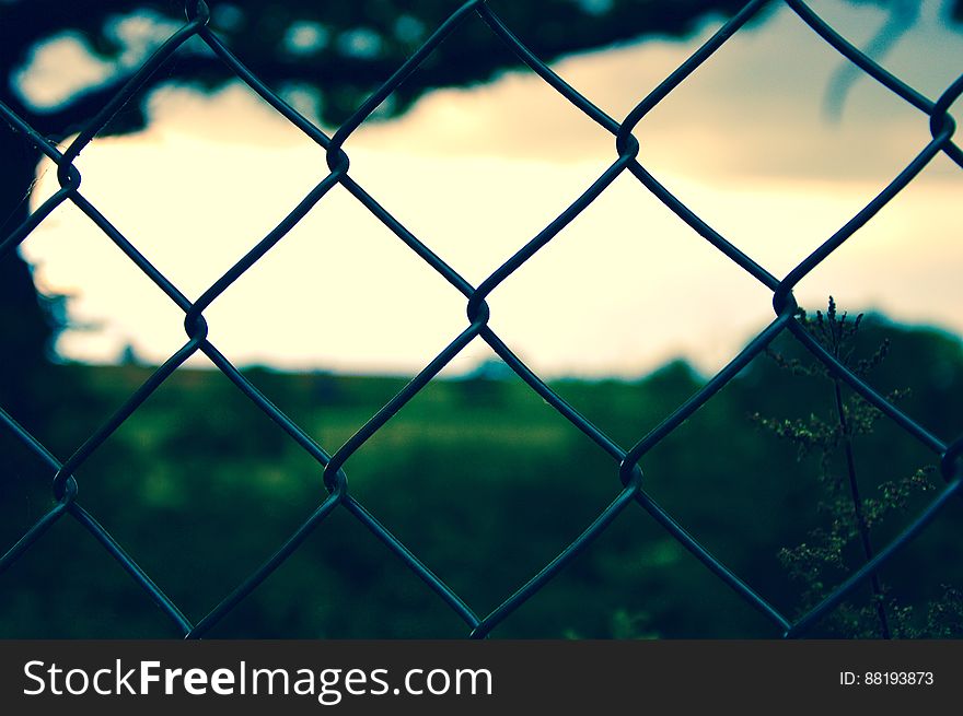 A close up of a wire mesh fence.