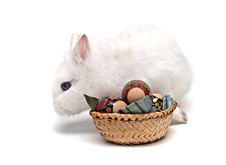 White Easter Bunny Stock Images